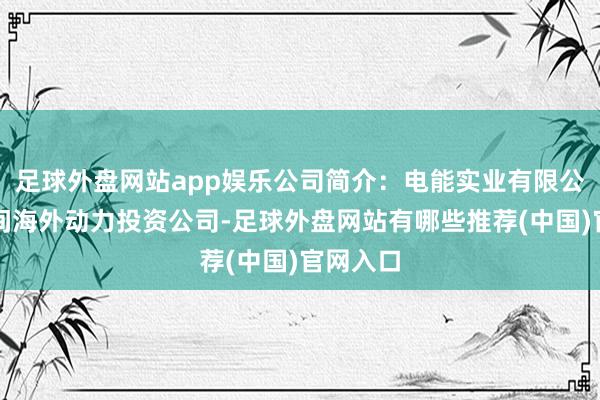 足球外盘网站app娱乐公司简介：电能实业有限公司是一间海外动力投资公司-足球外盘网站有哪些推荐(中国)官网入口