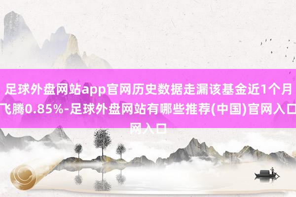 足球外盘网站app官网历史数据走漏该基金近1个月飞腾0.85%-足球外盘网站有哪些推荐(中国)官网入口