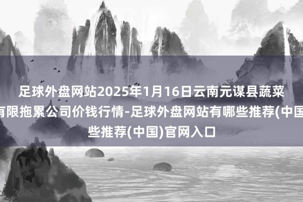 足球外盘网站2025年1月16日云南元谋县蔬菜交游市集有限拖累公司价钱行情-足球外盘网站有哪些推荐(中国)官网入口