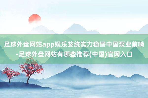 足球外盘网站app娱乐笼统实力稳居中国泵业前哨-足球外盘网站有哪些推荐(中国)官网入口