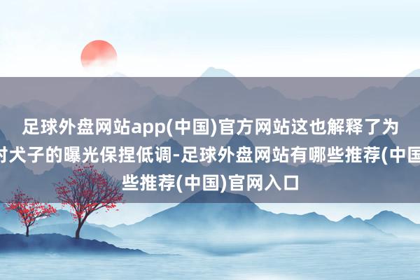 足球外盘网站app(中国)官方网站这也解释了为何林心如对犬子的曝光保捏低调-足球外盘网站有哪些推荐(中国)官网入口