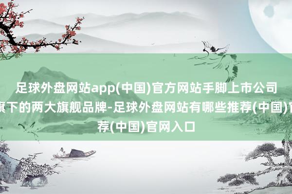 足球外盘网站app(中国)官方网站手脚上市公司福瑞达旗下的两大旗舰品牌-足球外盘网站有哪些推荐(中国)官网入口