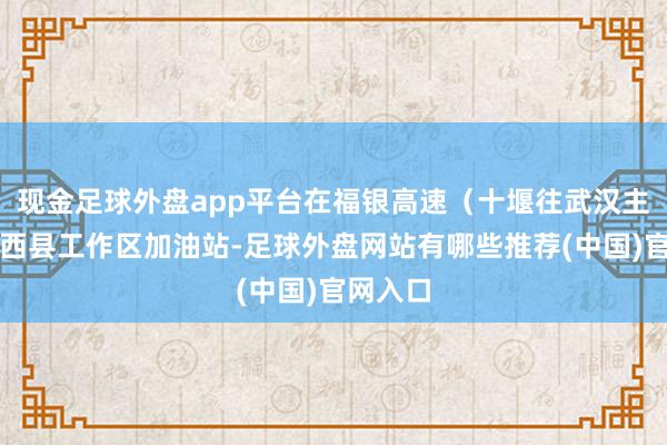 现金足球外盘app平台在福银高速（十堰往武汉主见）郧西县工作区加油站-足球外盘网站有哪些推荐(中国)官网入口