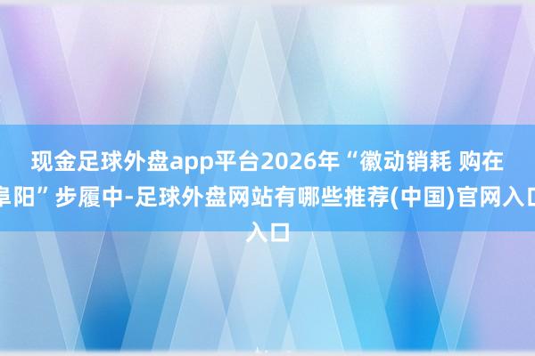 现金足球外盘app平台2026年“徽动销耗 购在阜阳”步履中-足球外盘网站有哪些推荐(中国)官网入口