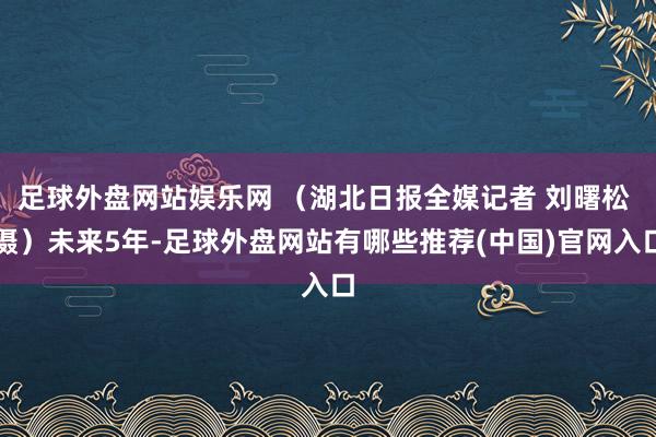 足球外盘网站娱乐网 （湖北日报全媒记者 刘曙松 摄）未来5年-足球外盘网站有哪些推荐(中国)官网入口