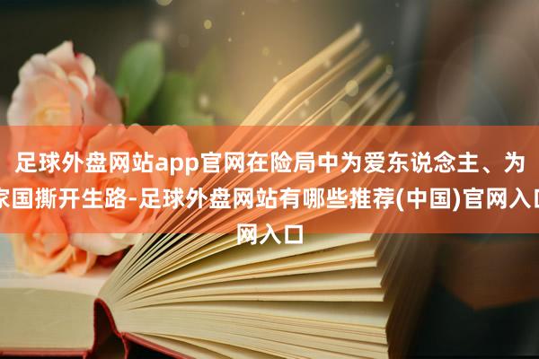 足球外盘网站app官网在险局中为爱东说念主、为家国撕开生路-足球外盘网站有哪些推荐(中国)官网入口