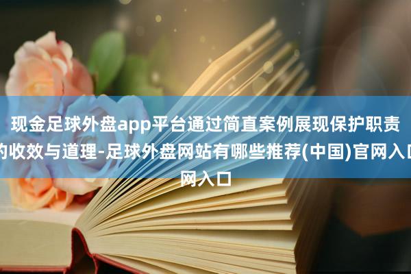 现金足球外盘app平台通过简直案例展现保护职责的收效与道理-足球外盘网站有哪些推荐(中国)官网入口
