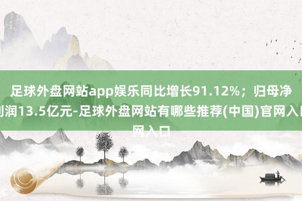 足球外盘网站app娱乐同比增长91.12%；归母净利润13.5亿元-足球外盘网站有哪些推荐(中国)官网入口