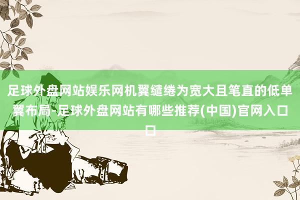足球外盘网站娱乐网机翼缱绻为宽大且笔直的低单翼布局-足球外盘网站有哪些推荐(中国)官网入口
